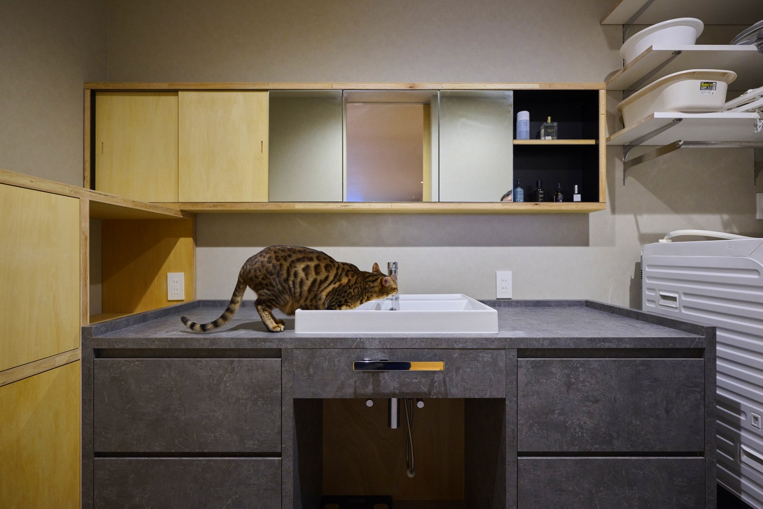 猫ちゃんも使いやすい2階の洗面デザインの画像