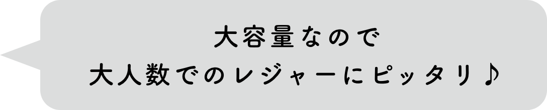 大容量なので大人数でのレジャーにピッタリ♪