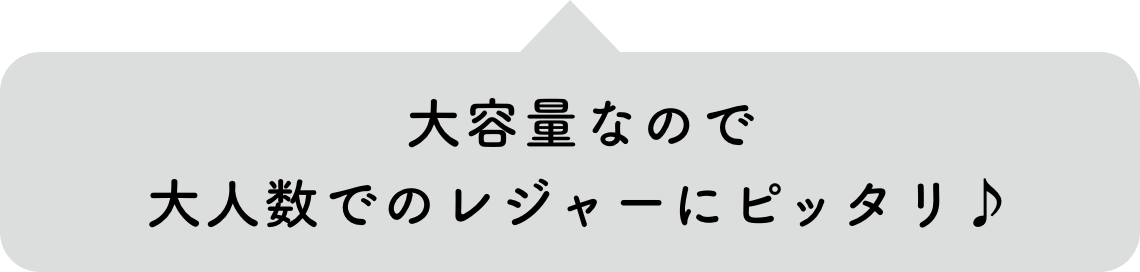 大容量なので大人数でのレジャーにピッタリ♪