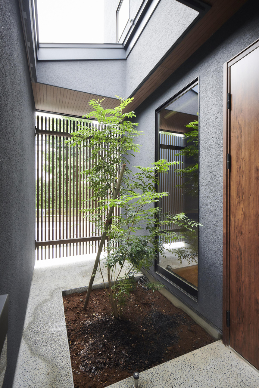屋根から木が突き抜ける家 埼玉・東京・千葉の注文住宅「ポウハウス」