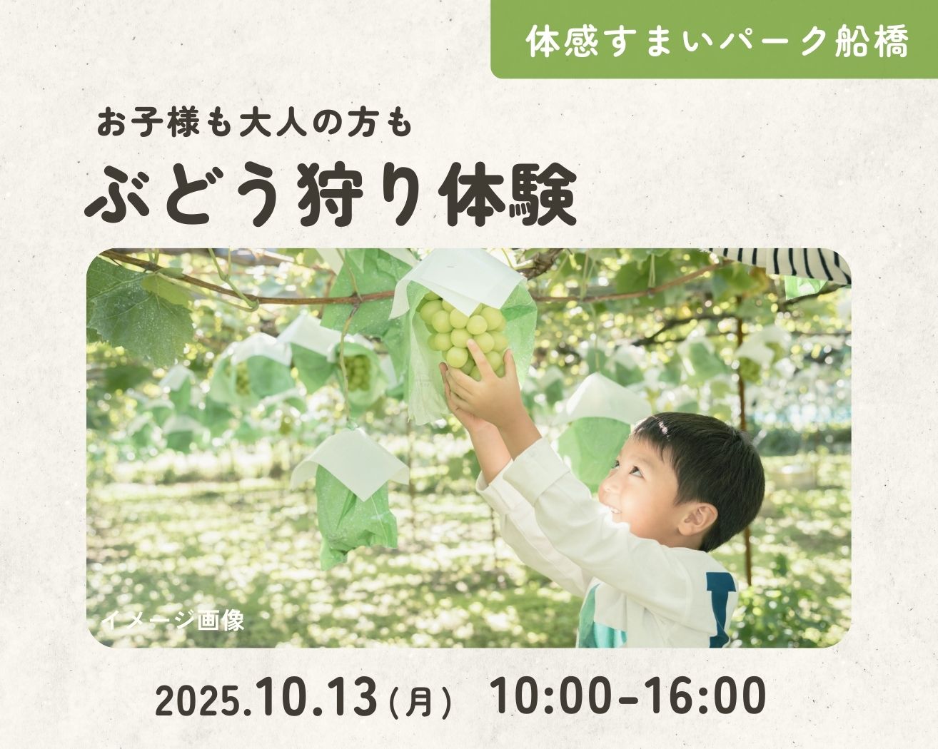 【船橋】お子様も大人の方も♪ぶどう狩り体験の画像