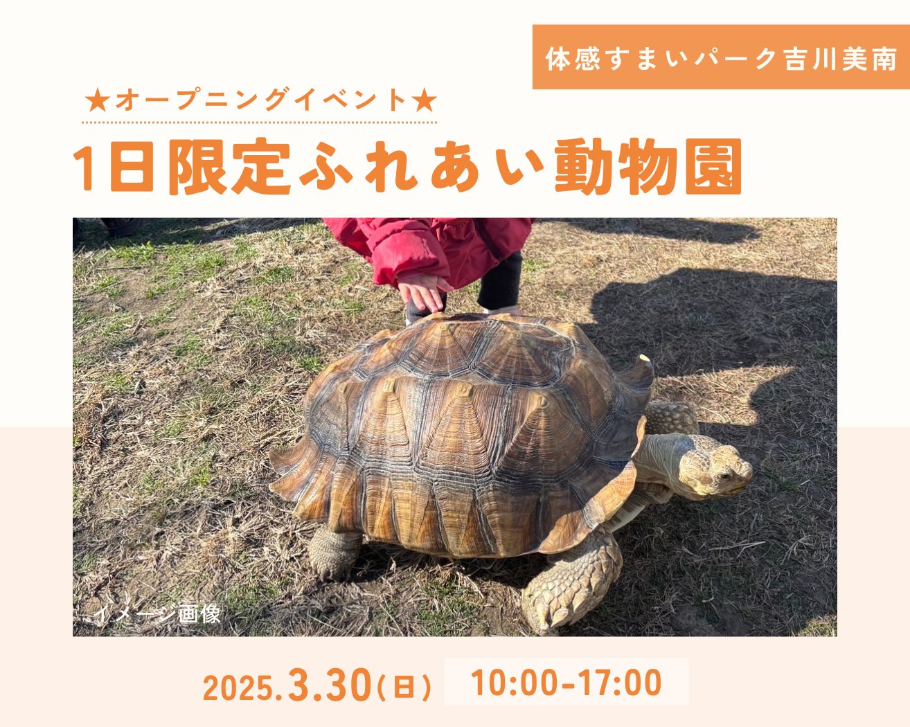 【吉川美南】動物たちが遊びにくるよ!!!の画像