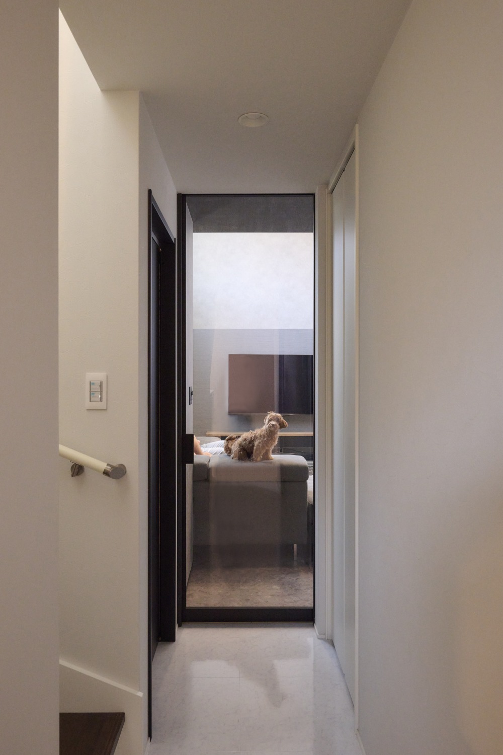 全面ガラスのリビングドアの画像