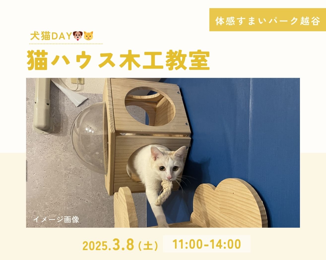 【越谷】猫ハウス木工教室-犬猫DAYの画像