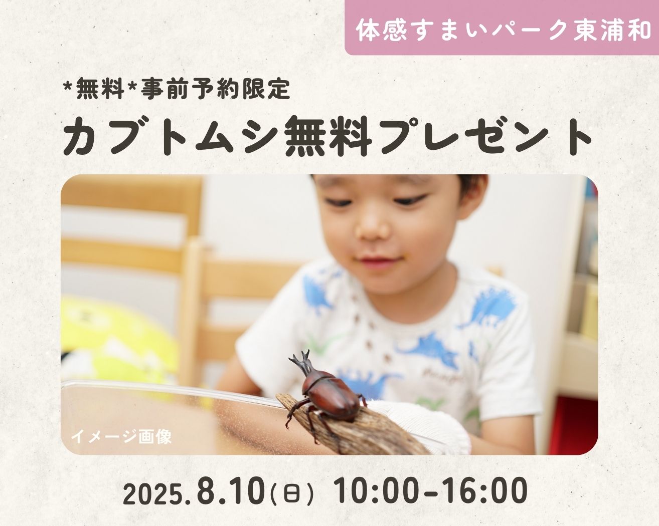 【東浦和】*無料*事前予約限定「カブトムシ」プレゼント企画!の画像