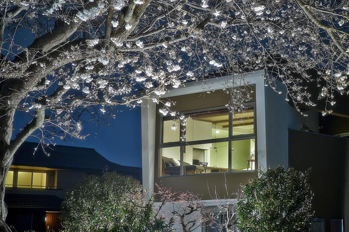 ライトアップされた桜が見えるリビングの画像