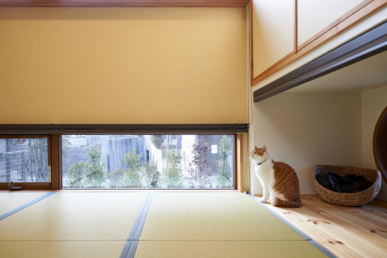 和室でもねこが暮らしやすいよう猫窓を設置の画像