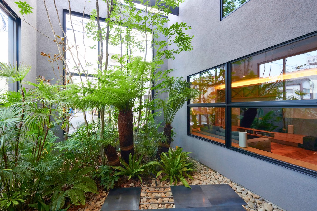 非日常空間のライトコートの画像