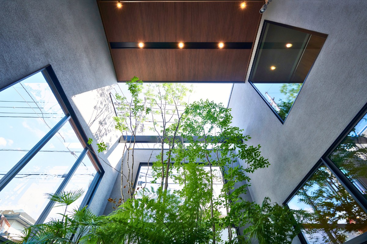 光の採り入れ方に配慮した外部吹抜けの画像