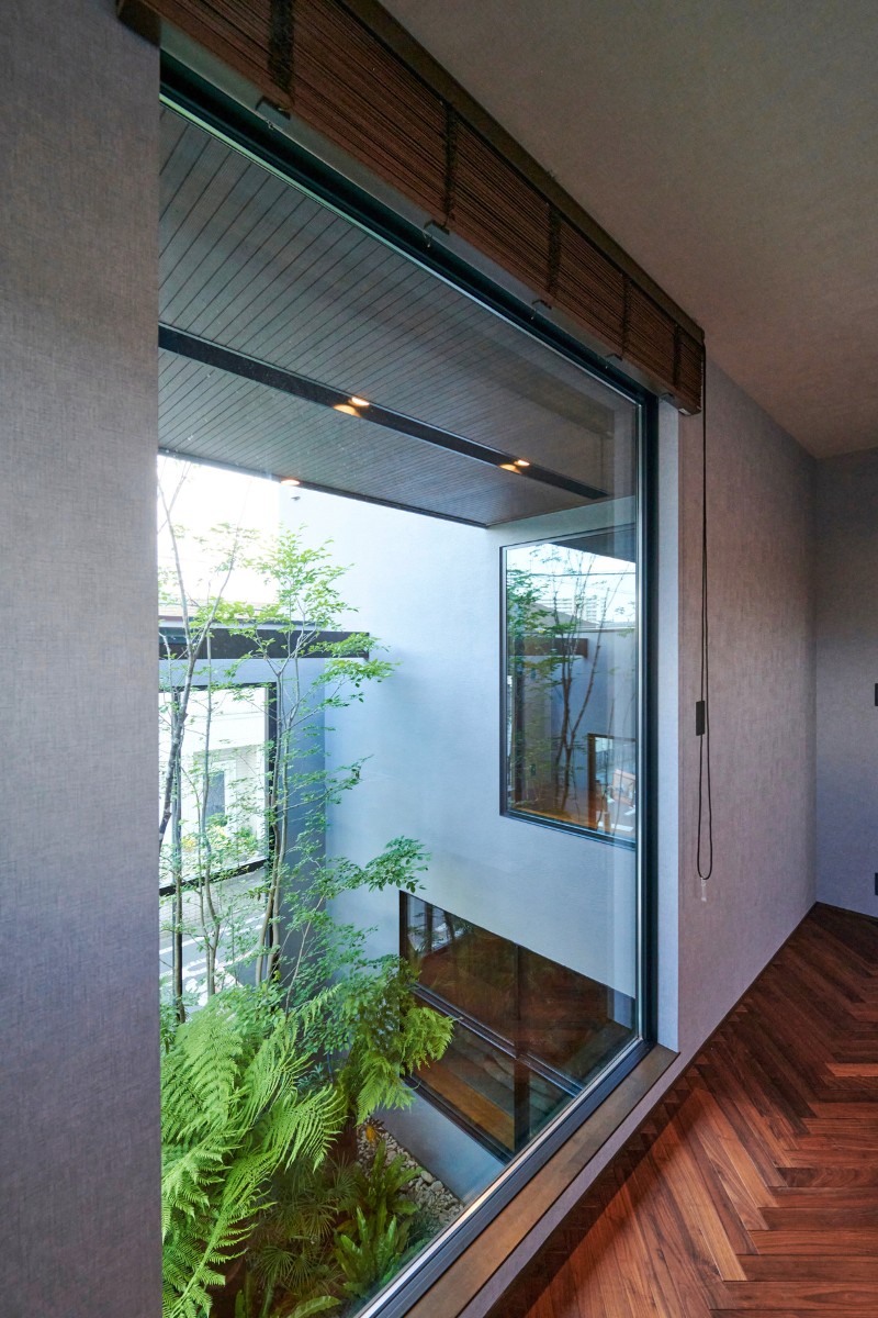 2階居室から見た、緑に潤うライトコートの画像