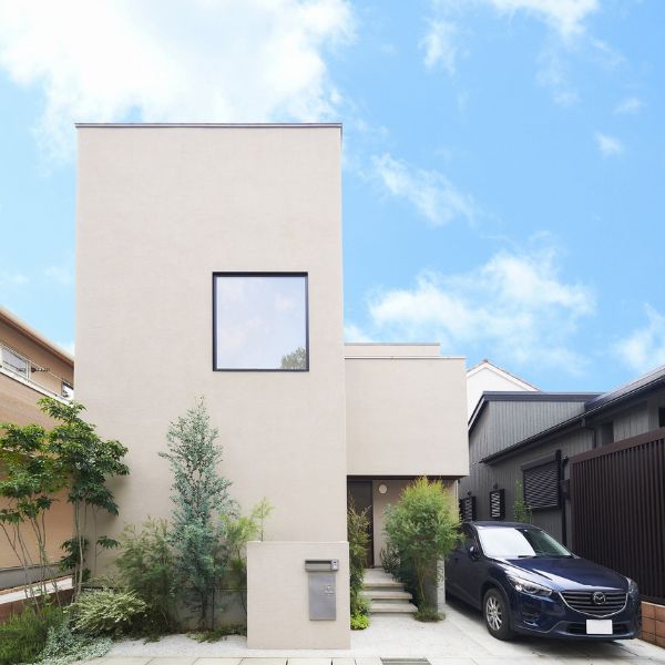 natural mixの画像