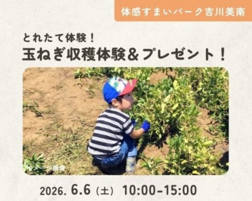 とれたて体験!玉ねぎ収穫体験&プレゼント! in 吉川美南の画像