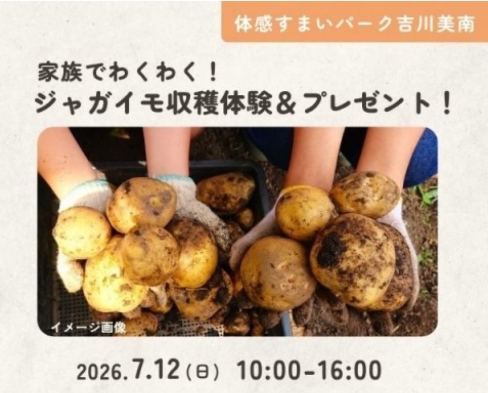 わくわく!ジャガイモ収穫体験&プレゼント!  in 吉川美南の画像