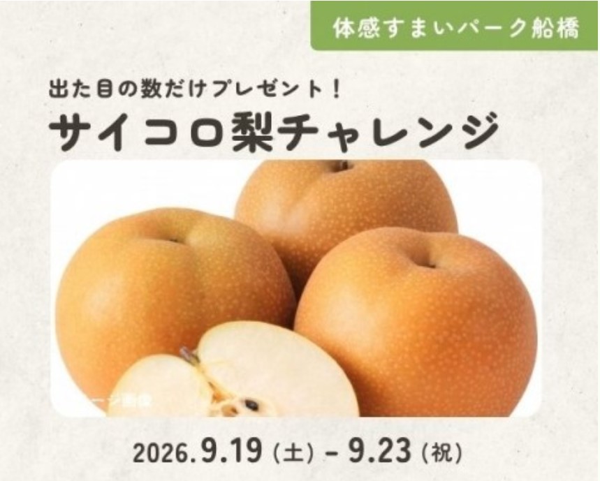 サイコロ梨チャレンジ!【船橋】の画像