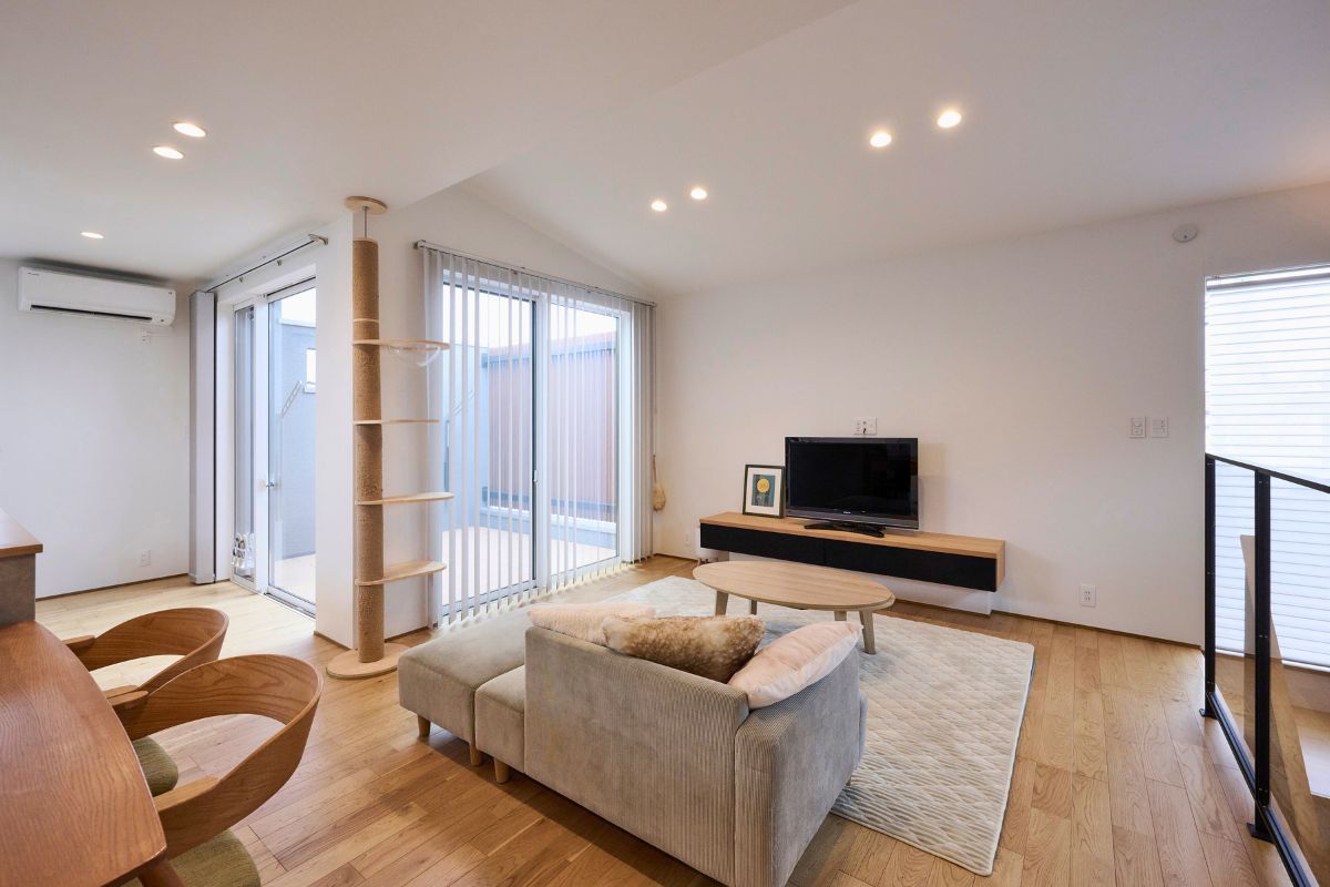 スカイラウンジで愛猫とくつろぐ家の画像