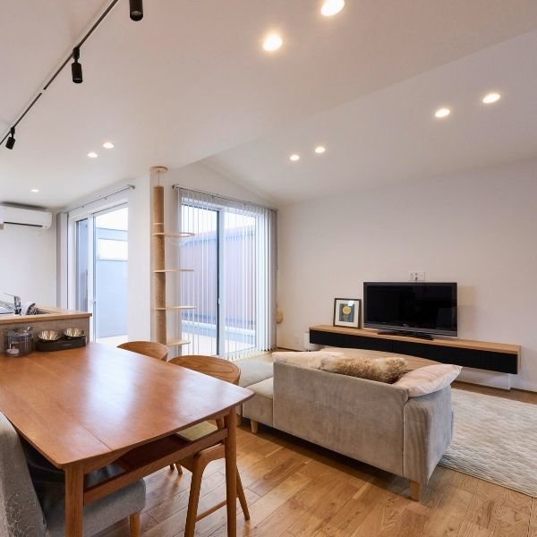 スカイラウンジで愛猫とくつろぐ家の画像