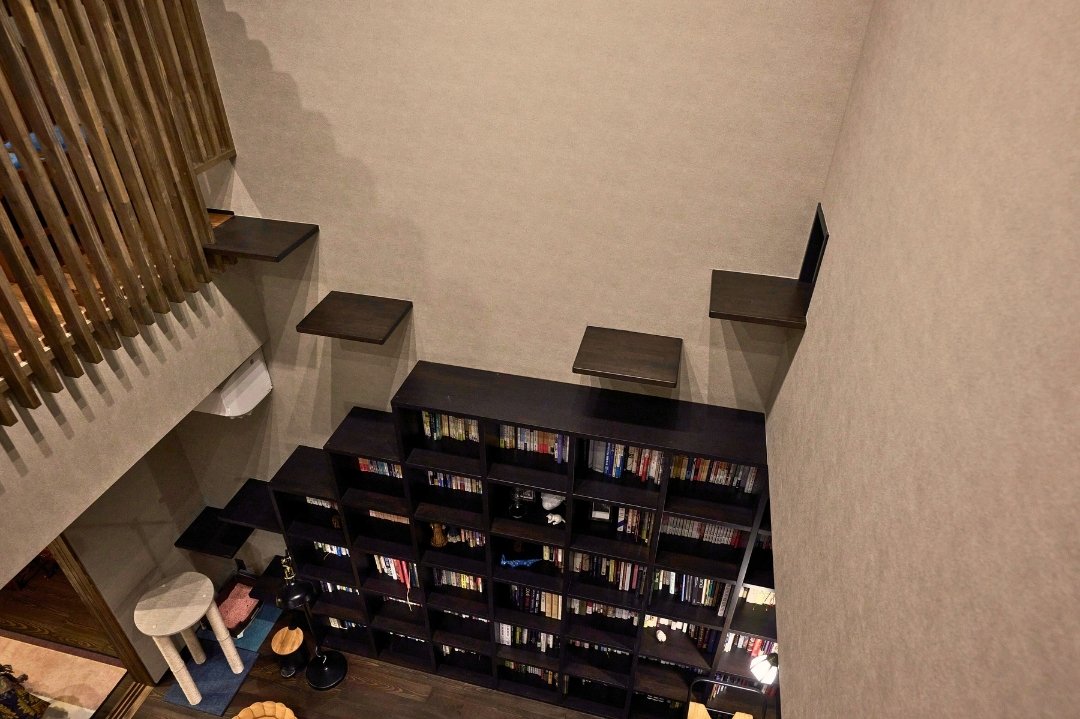 リビングの贅沢な景色を堪能しながら使えるキャットウォークの画像