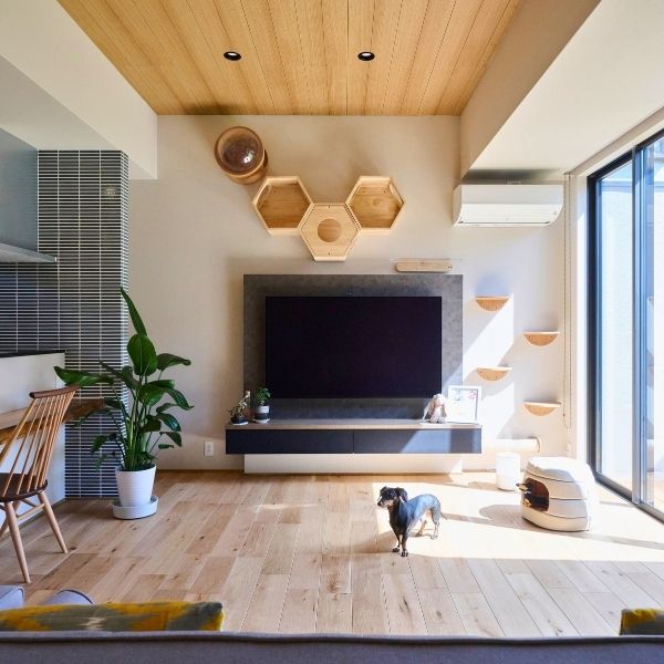 人もペットも心地よいブルーの家の画像