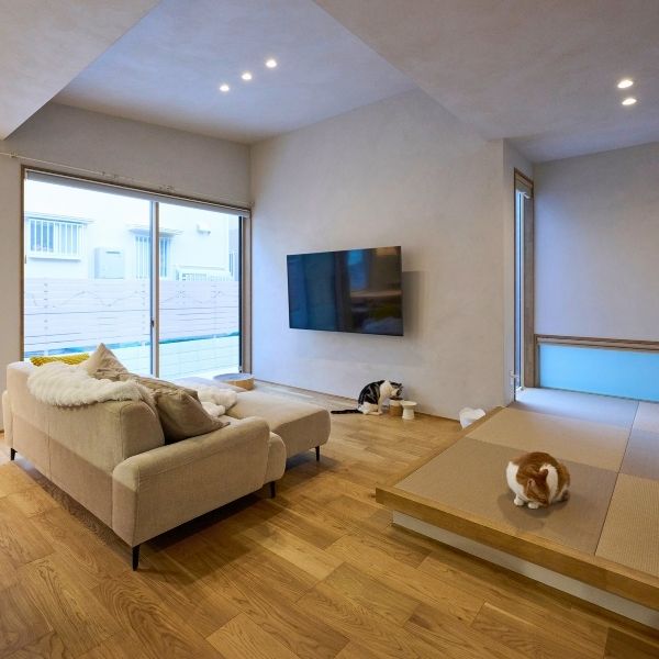 人も猫も快適なナチュラルモダン住宅の画像