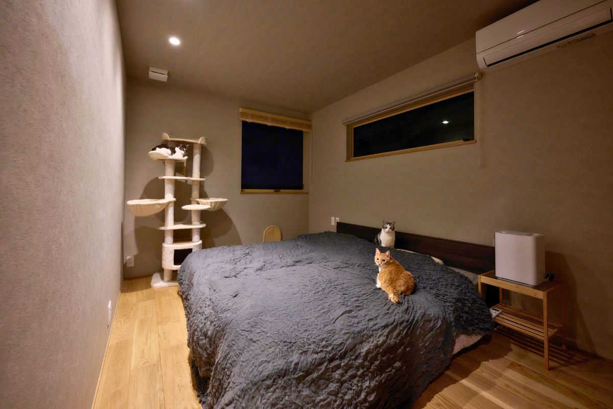 人も猫も心地よく過ごせる寝室の画像