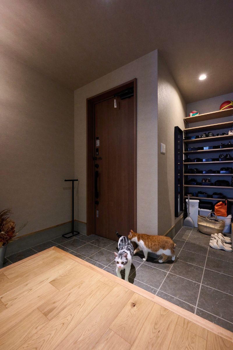 猫ちゃんたちがお散歩できる、回遊性を持たせた生活動線の画像