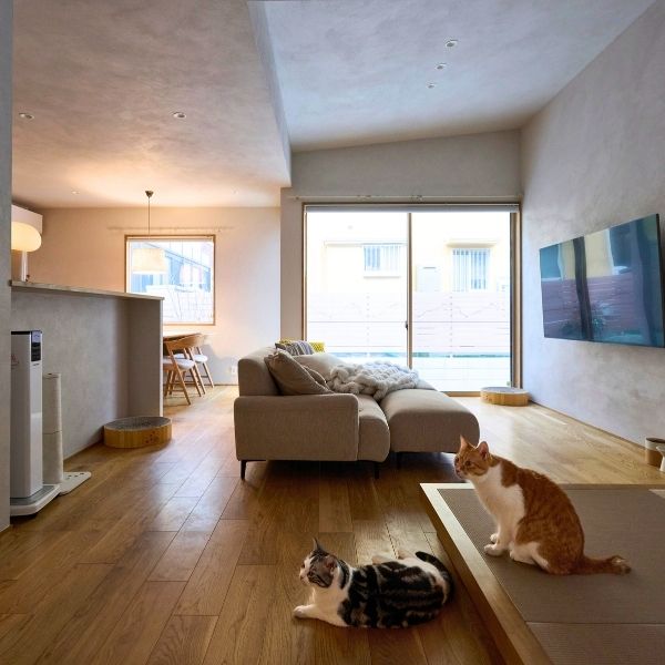 人も猫も快適なナチュラルモダン住宅の画像