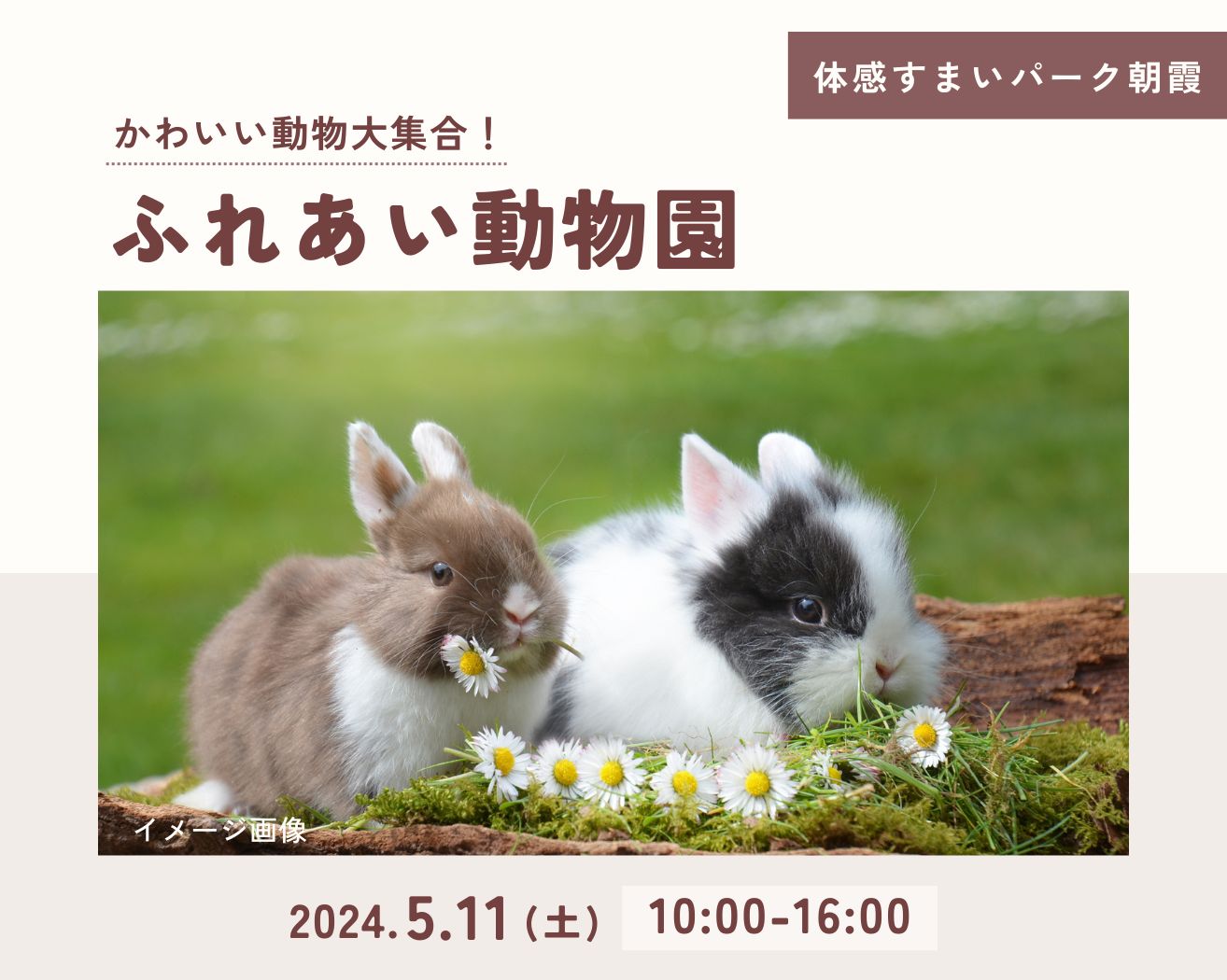 【朝霞】★かわいい動物大集合！ふれあい動物園★の画像