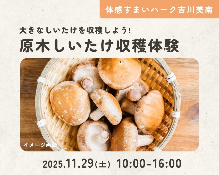 【吉川美南】大きなしいたけを収穫しよう!原木しいたけ収穫体験の画像