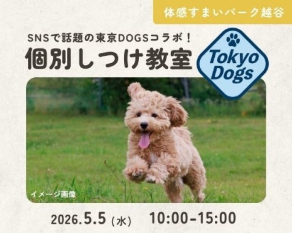 愛犬個別しつけ教室【越谷】の画像