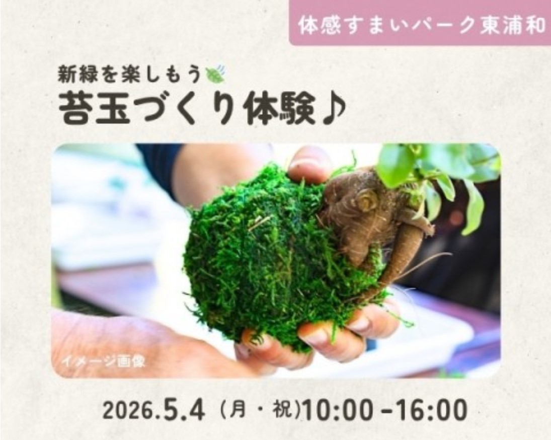 新緑を楽しもう!苔玉づくり体験【東浦和】の画像