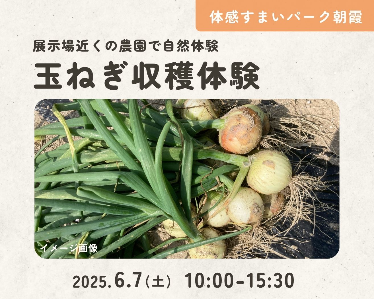 【吉川美南】わくわく!玉ねぎ収穫体験&プレゼント!の画像