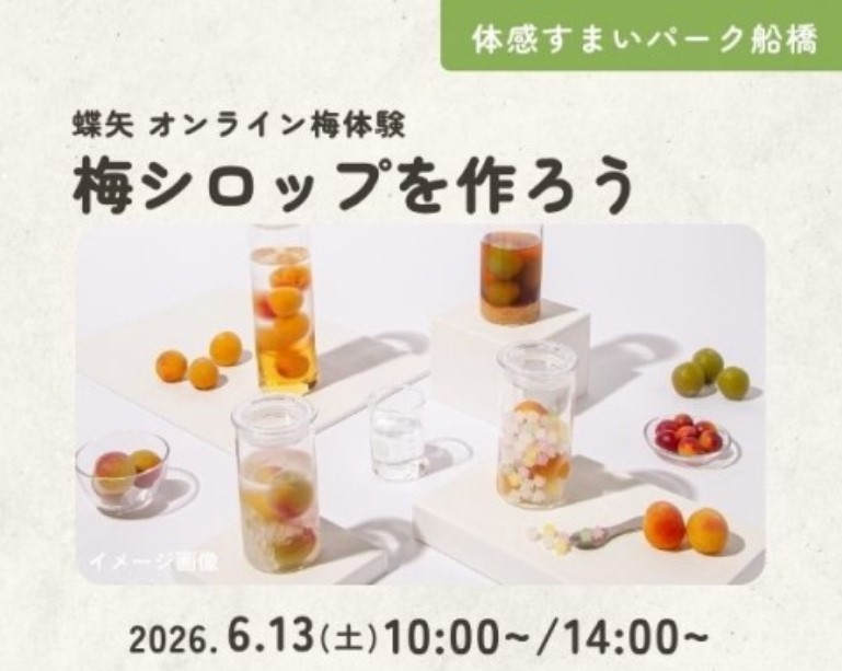 鎌倉で大人気!梅シロップを作ろう in船橋の画像
